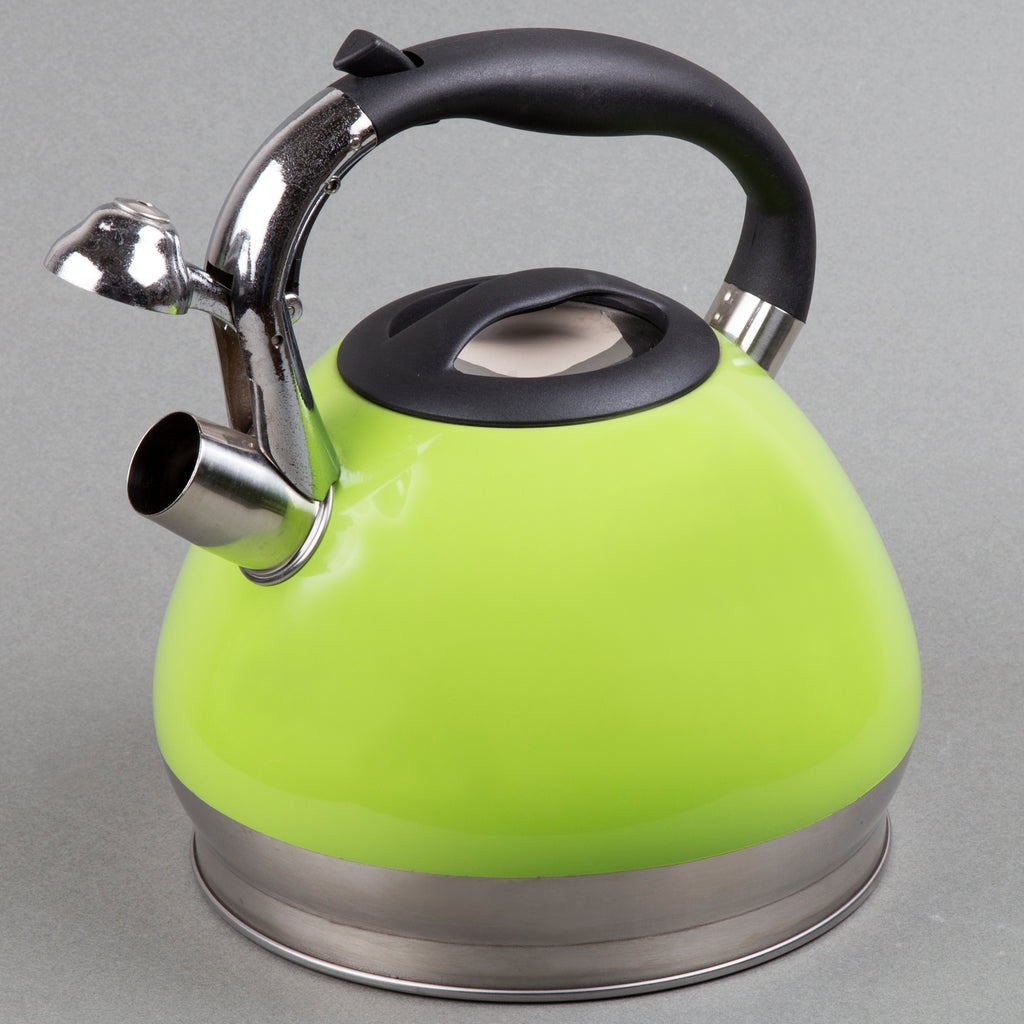 Comfee Stainless Steel Electric Cool Touch Kettle Mint Green Won't Burn You  NEW