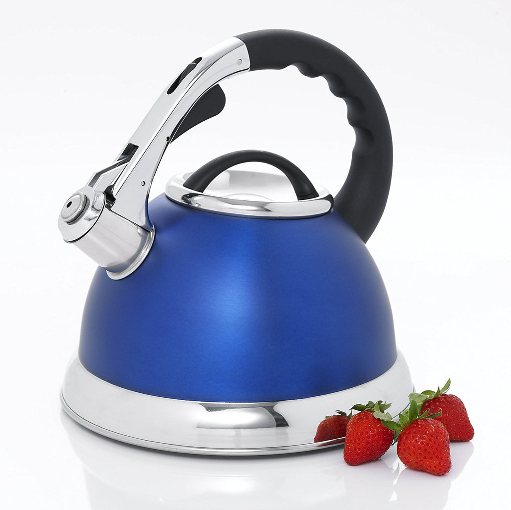 Creative Home Alexa 3.0 qt. Stainless Steel Whistling Tea Kettle, Aqua, Blue